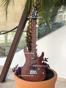 GUITARRA ELECTRICA IBANEZ GSA60-WNF "GIO SA" NOGAL MATE