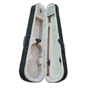 VIOLA VITALE 15.5 PULGADAS 3/4 VA-15.5