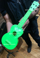 UKULELE DANNY 21UKF VERDE DE ABS