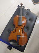 VIOLIN HOEFNER AS-060-V4/4 ALFRED STINGL EXHIBICION