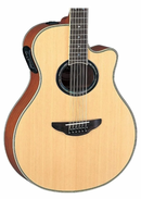 DOCEROLA YAMAHA APX700II-12NT ELEC.ACUST