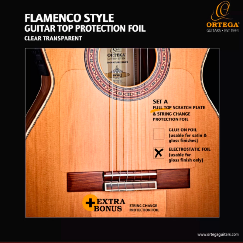 PROTECCION ELECTROESTATICA ORTEGA FLAM1