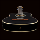GUITARRA ORTEGA ELECTROACUSTICA ZURDA BK